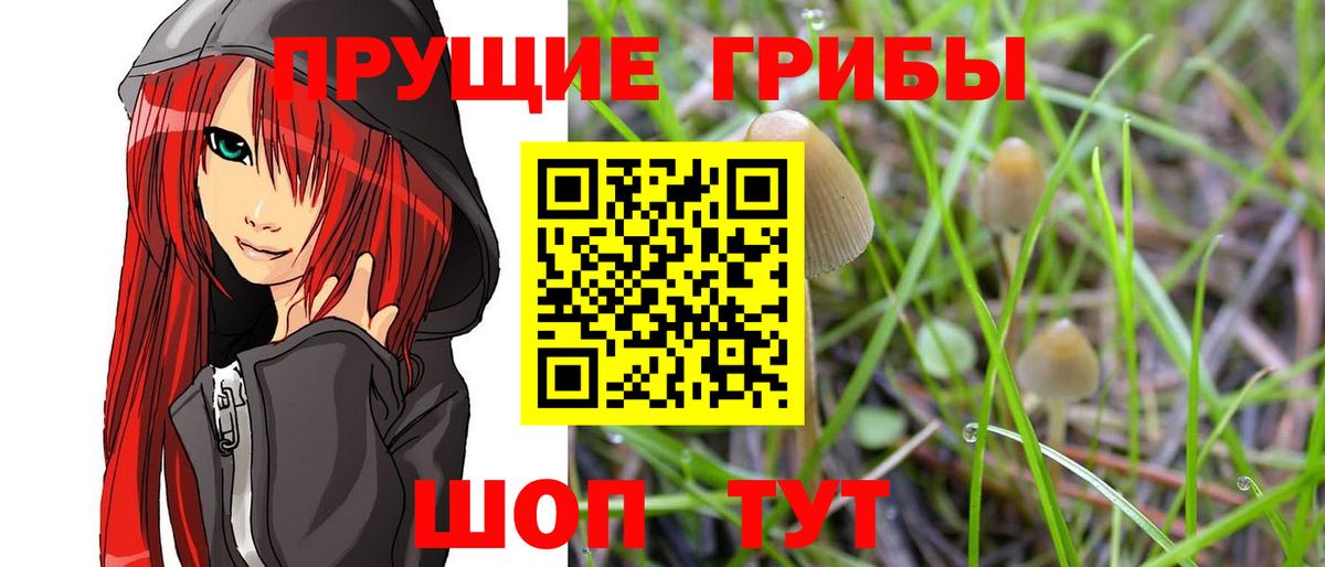 Галлюциногенные грибы Cubensis  Вход с VPN  Феодосия 