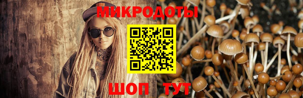 Псилоцибиновые грибы прущие грибы Феодосия